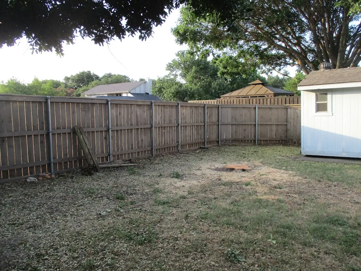 Cleared yard after professional tree removal in Dalton