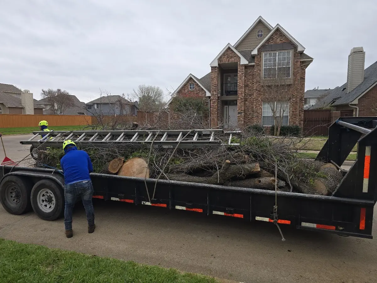 Expert Tree Fertilization with proper safety equipment in Dalton